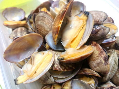 あさりの酒蒸し 殻が開いたところ