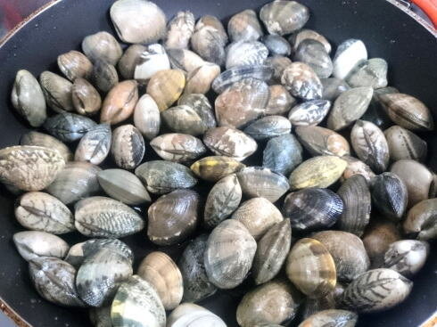 アサリの酒蒸しを作る