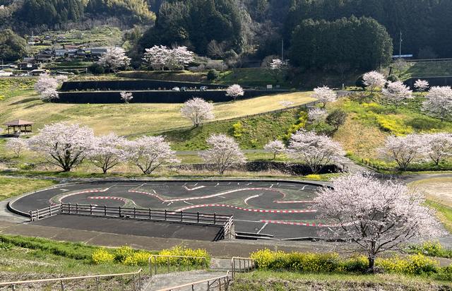 がんね白滝公園、サーキットと桜の風景【岩国市美和町】