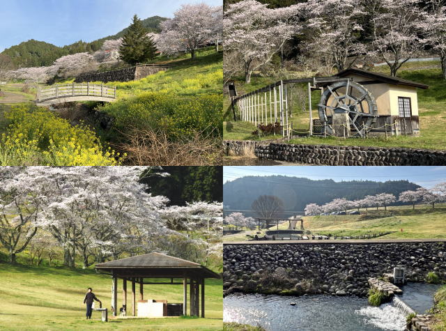 山口県岩国市美和町の「明神原なごみ広場」とは？